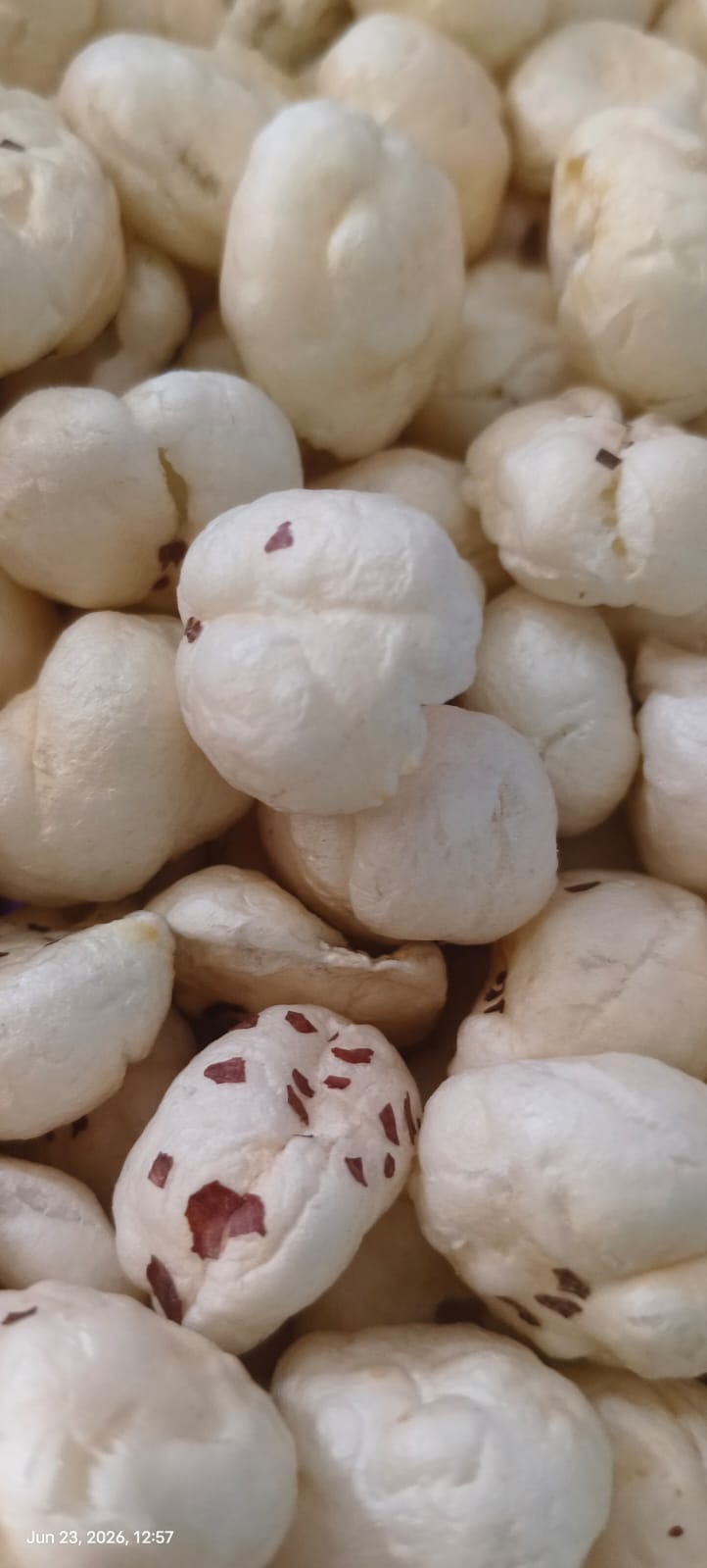 Sarvottam Premium Raw Phool Makhana (Fox Nuts) – Unroasted, Natural & Extra-Large
